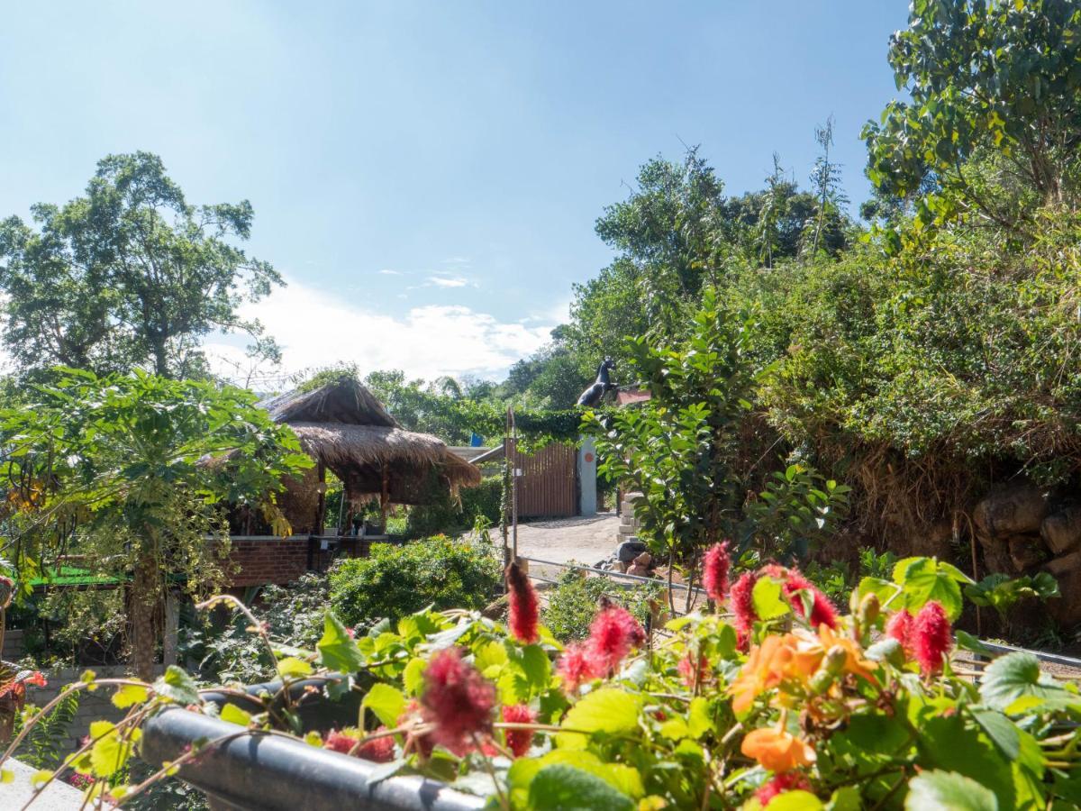 Dolape Villa Ела Екстериор снимка